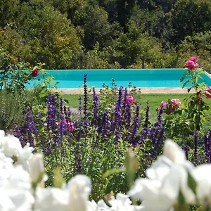 Podere Il Colto Frühstückspension Gaiole in Chianti